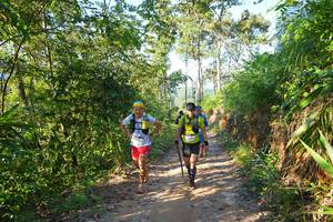 BIB: 
                            <button type="button" onclick="openModal(19342208)" class="btn btn-primary btn-sm float-right btn-popup" data-toggle="modal" data-target=".modal-high-quality">
                        <i class="fas fa-shopping-cart"></i> Add to Cart
                    </button>
                                            <button type="button" onclick="isThisMe(19342208, true)" class="btn btn-success btn-sm float-right btn-popup btn-isme hidden" data-toggle="tooltip" data-placement="bottom" title="นี่คือรูปของคุณใช่ไหม คลิกที่นี่เพื่อเอาเข้าอัลบั้ม">
                        <i class="fas fa-plus"></i> Add to album
                    </button>
                    <button type="button" onclick="isThisMe(19342208, false)" class="btn btn-warning btn-sm float-right btn-popup btn-isnotme hidden">
                        <i class="fas fa-ban"></i> Remove from album
                    </button>